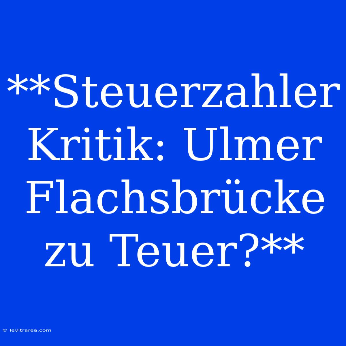 **Steuerzahler Kritik: Ulmer Flachsbrücke Zu Teuer?**