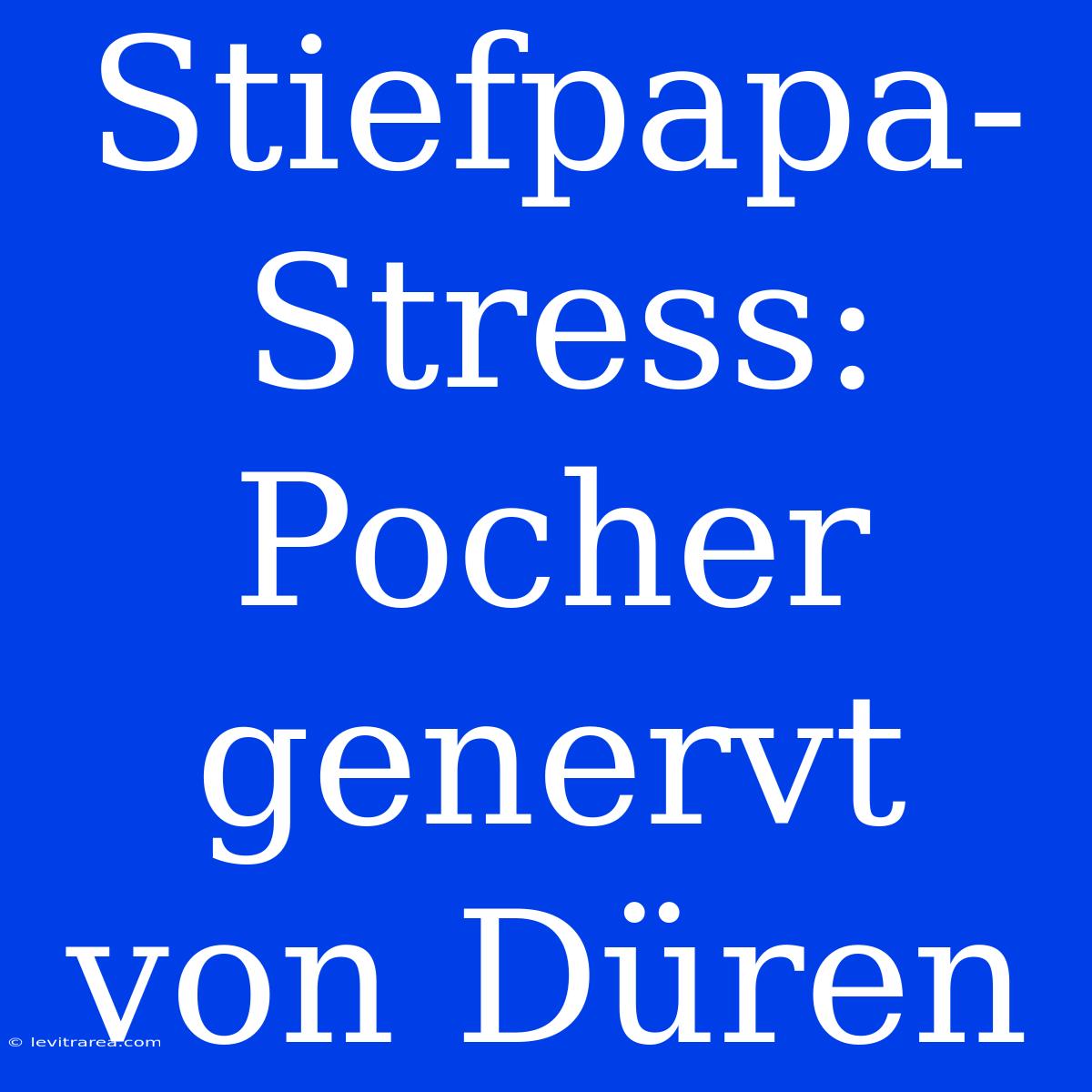 Stiefpapa-Stress: Pocher Genervt Von Düren