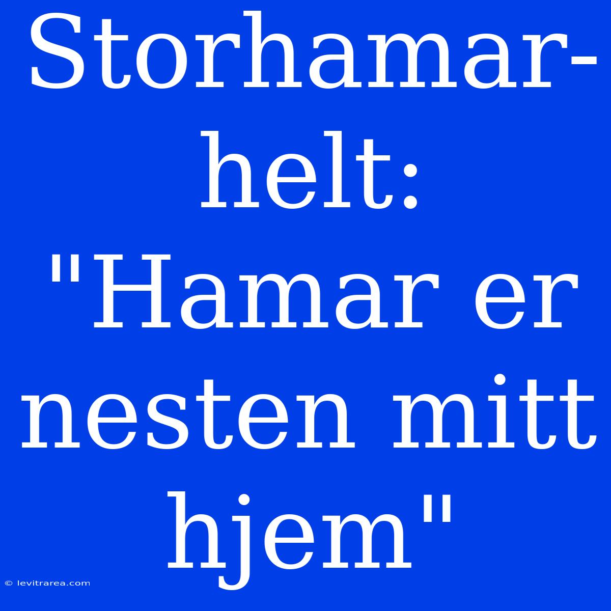 Storhamar-helt: 