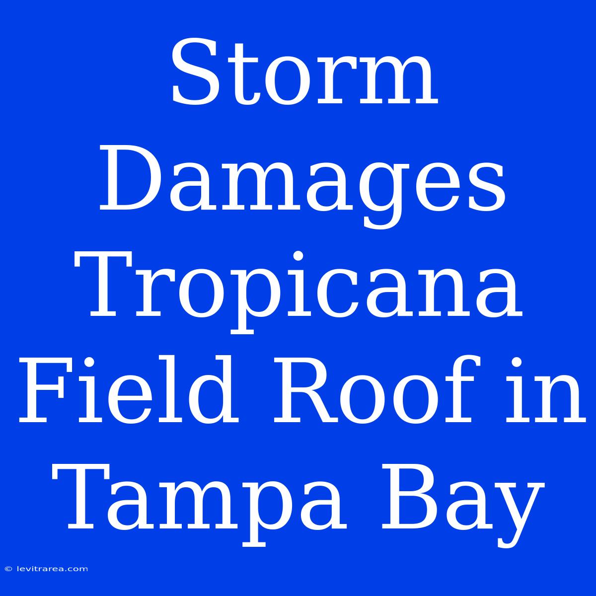 Storm Damages Tropicana Field Roof In Tampa Bay