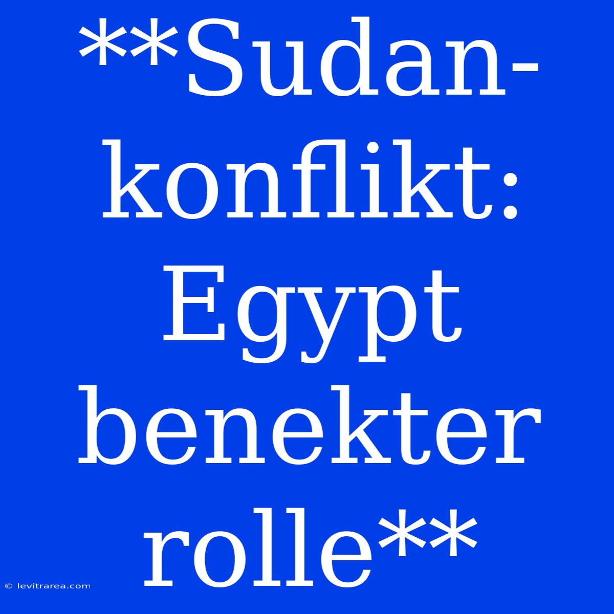 **Sudan-konflikt: Egypt Benekter Rolle**