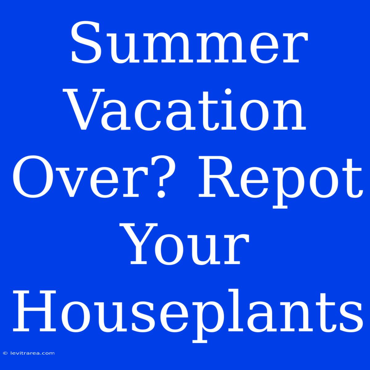 Summer Vacation Over? Repot Your Houseplants