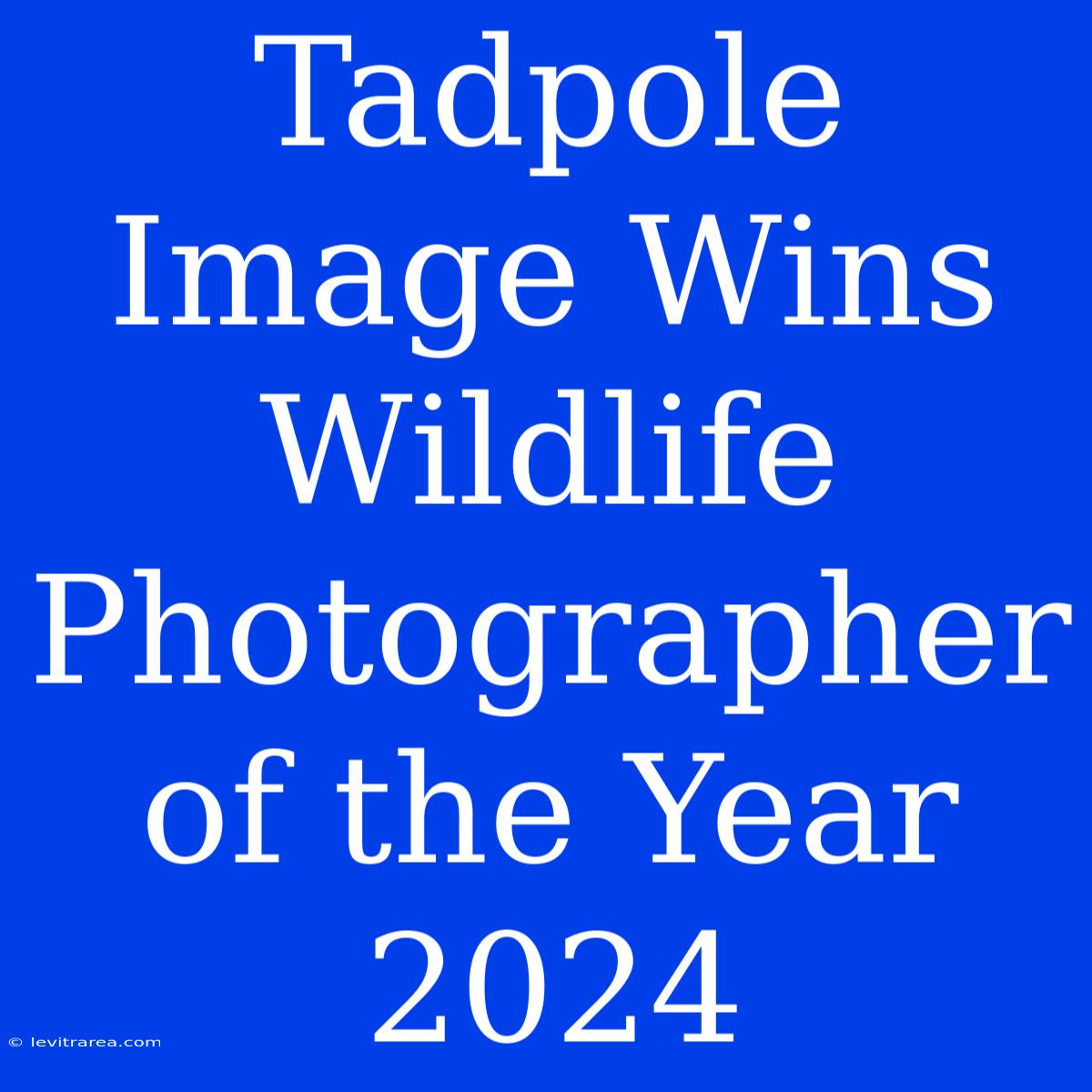 Tadpole Image Wins Wildlife Photographer Of The Year 2024