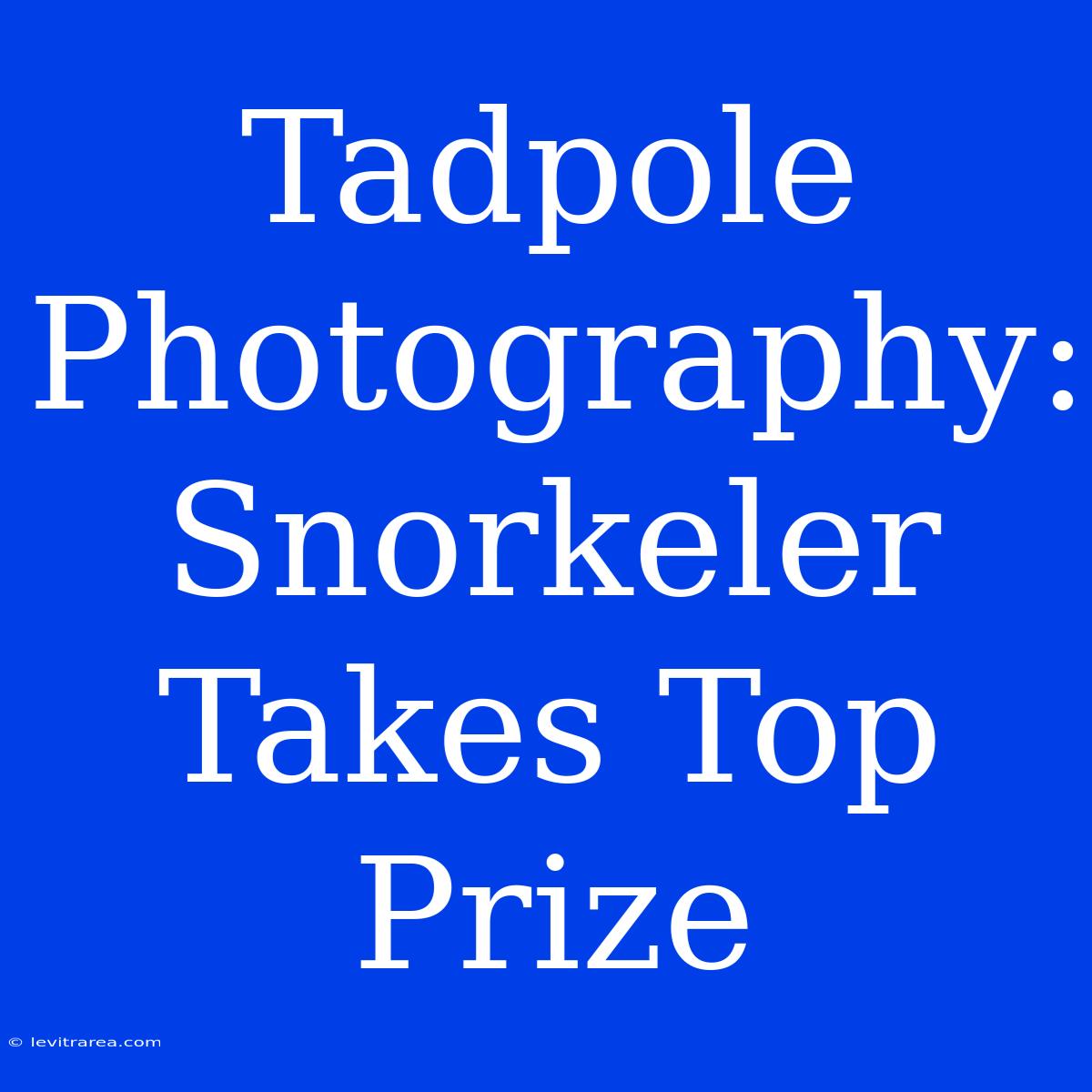 Tadpole Photography: Snorkeler Takes Top Prize 