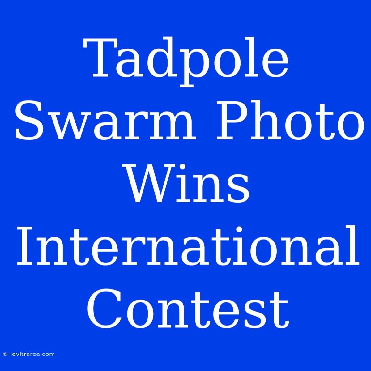 Tadpole Swarm Photo Wins International Contest