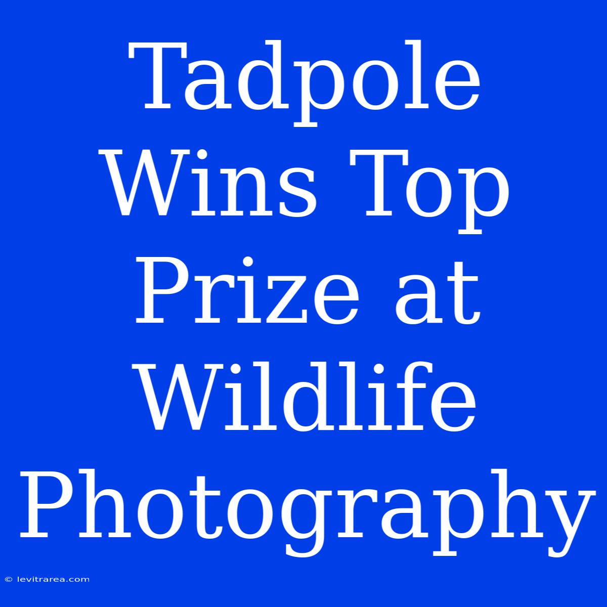 Tadpole Wins Top Prize At Wildlife Photography