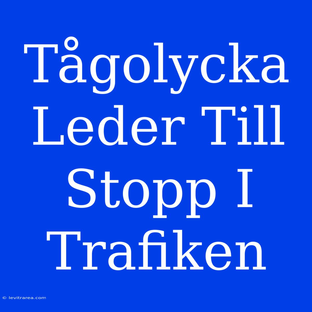 Tågolycka Leder Till Stopp I Trafiken