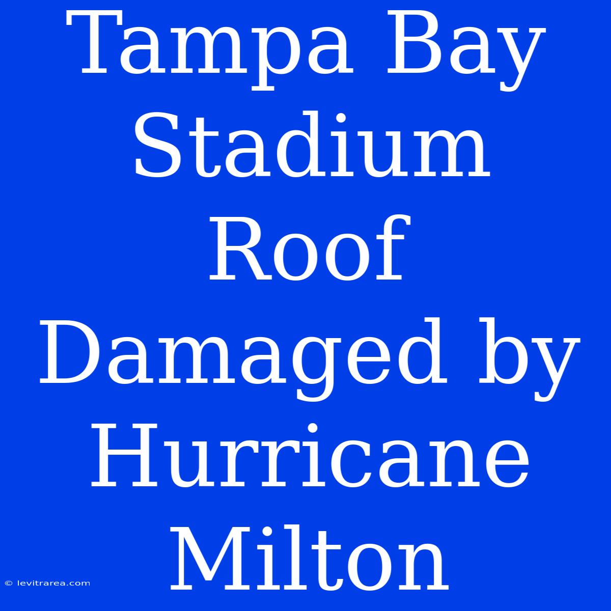 Tampa Bay Stadium Roof Damaged By Hurricane Milton 