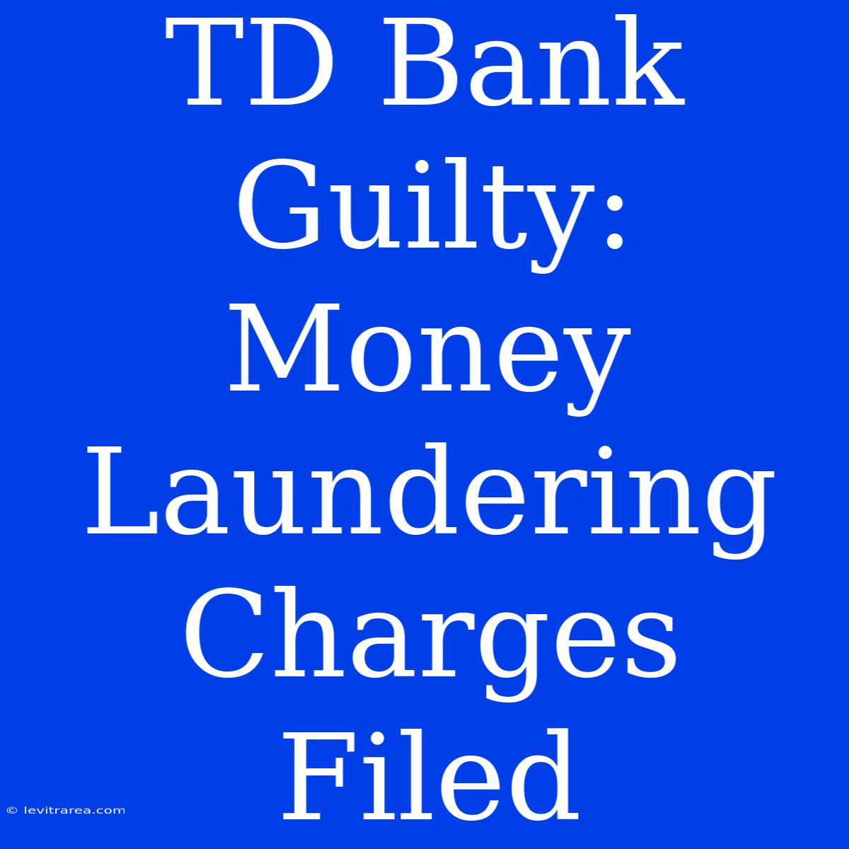 TD Bank Guilty: Money Laundering Charges Filed