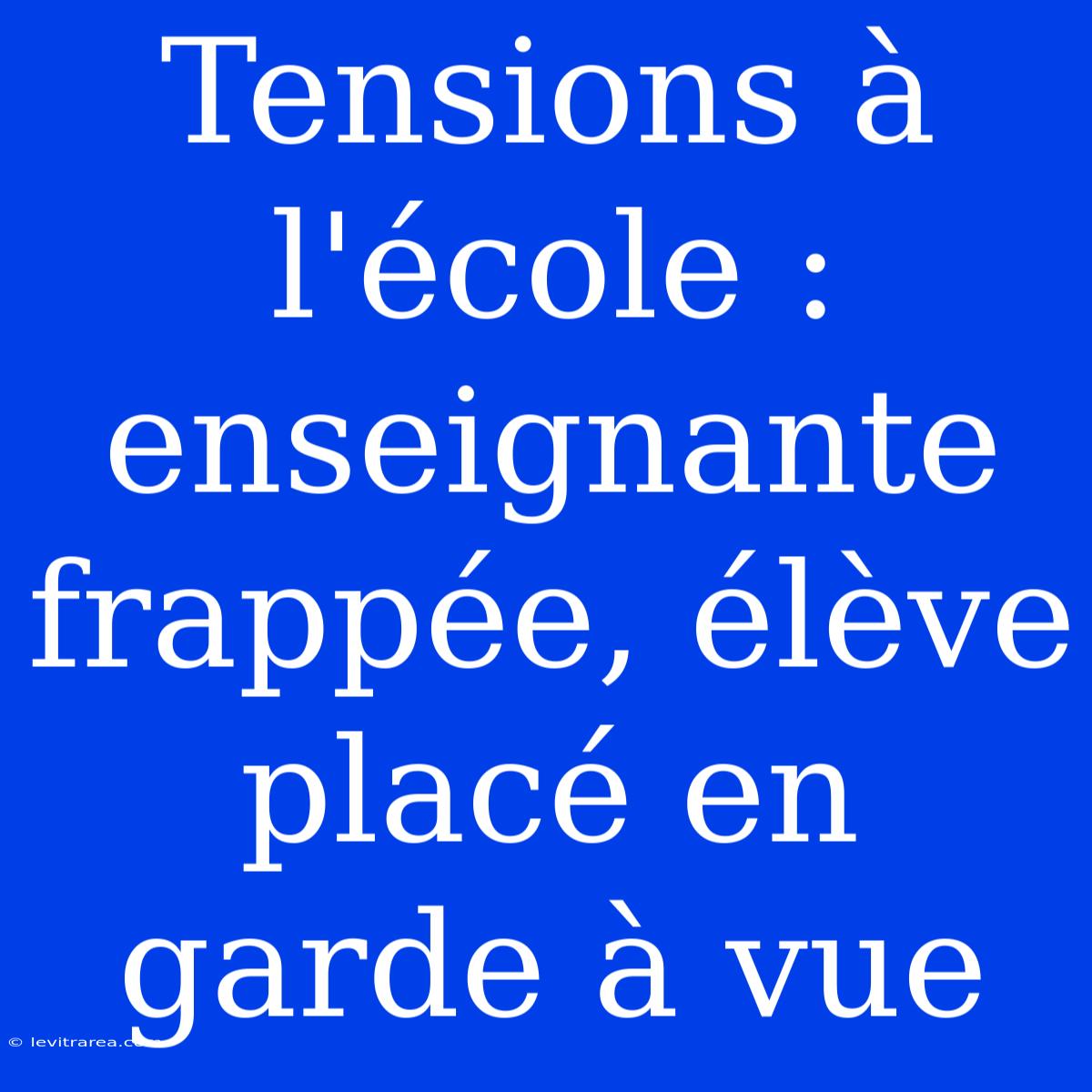 Tensions À L'école : Enseignante Frappée, Élève Placé En Garde À Vue