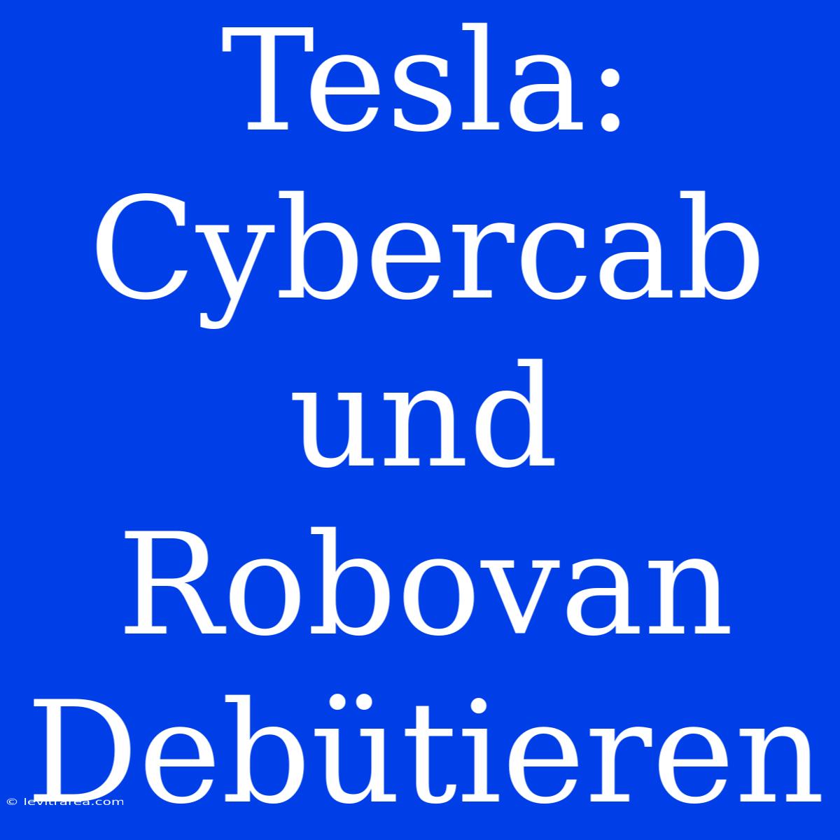 Tesla: Cybercab Und Robovan Debütieren