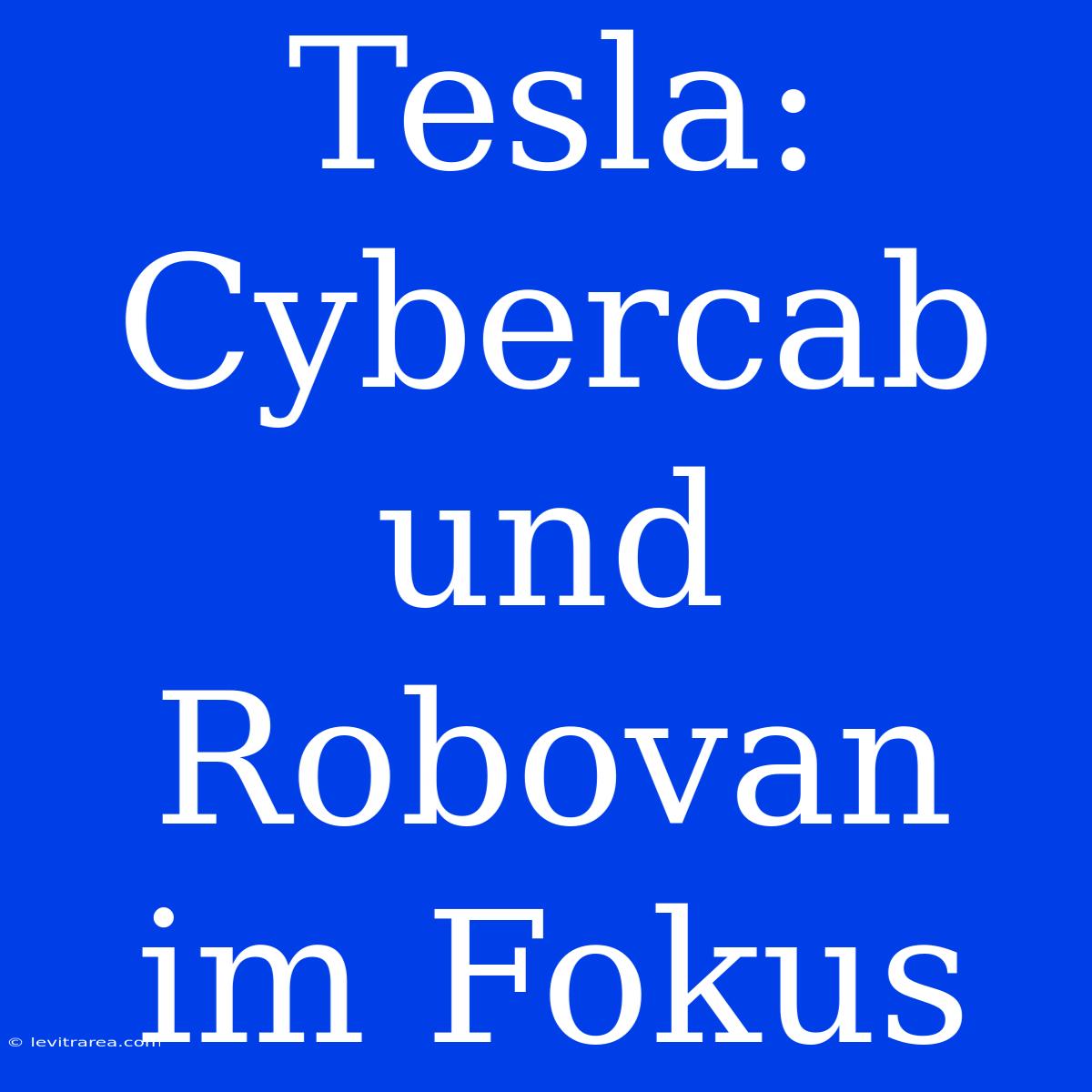 Tesla: Cybercab Und Robovan Im Fokus