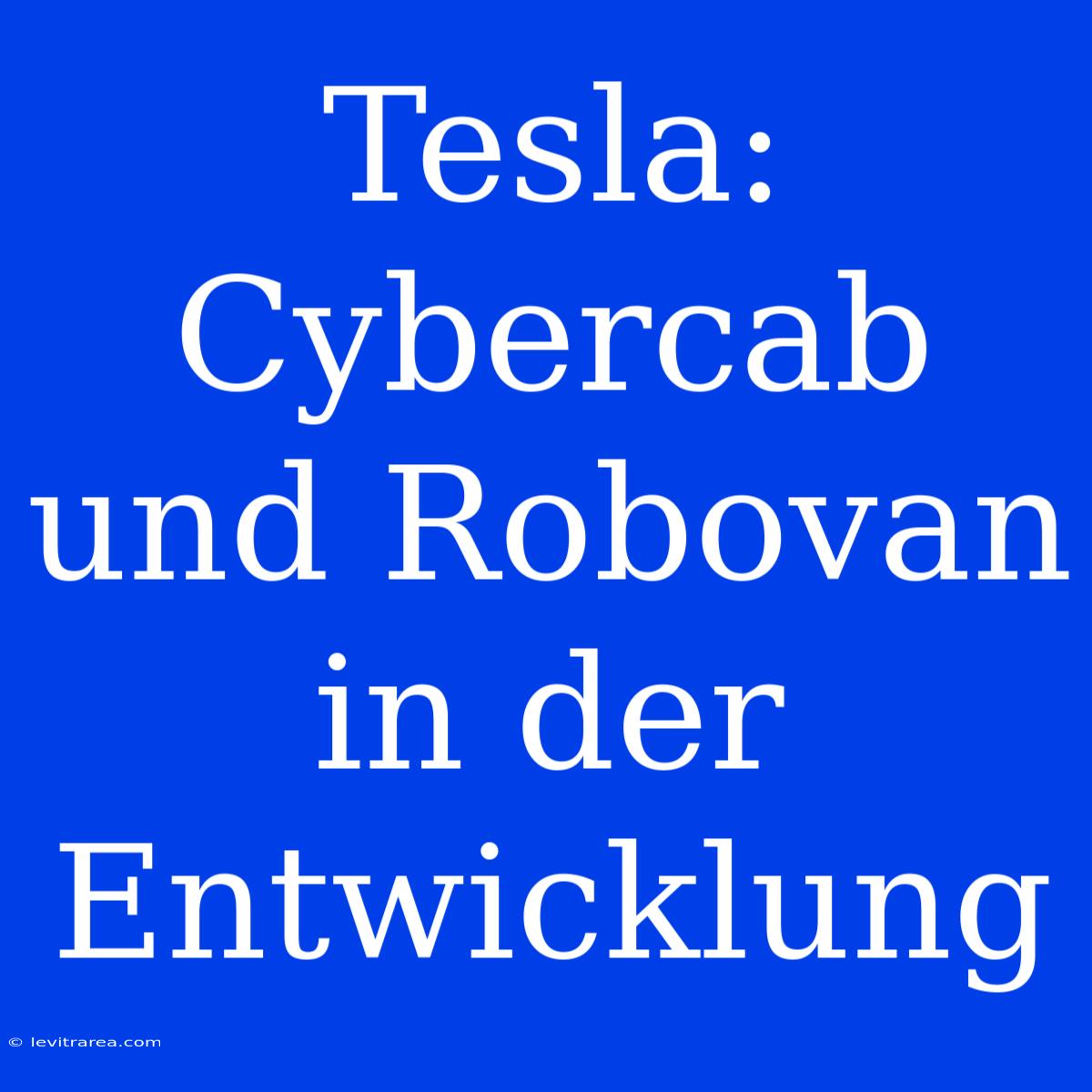 Tesla: Cybercab Und Robovan In Der Entwicklung 