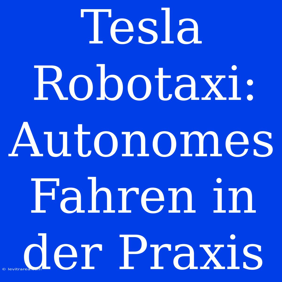 Tesla Robotaxi: Autonomes Fahren In Der Praxis