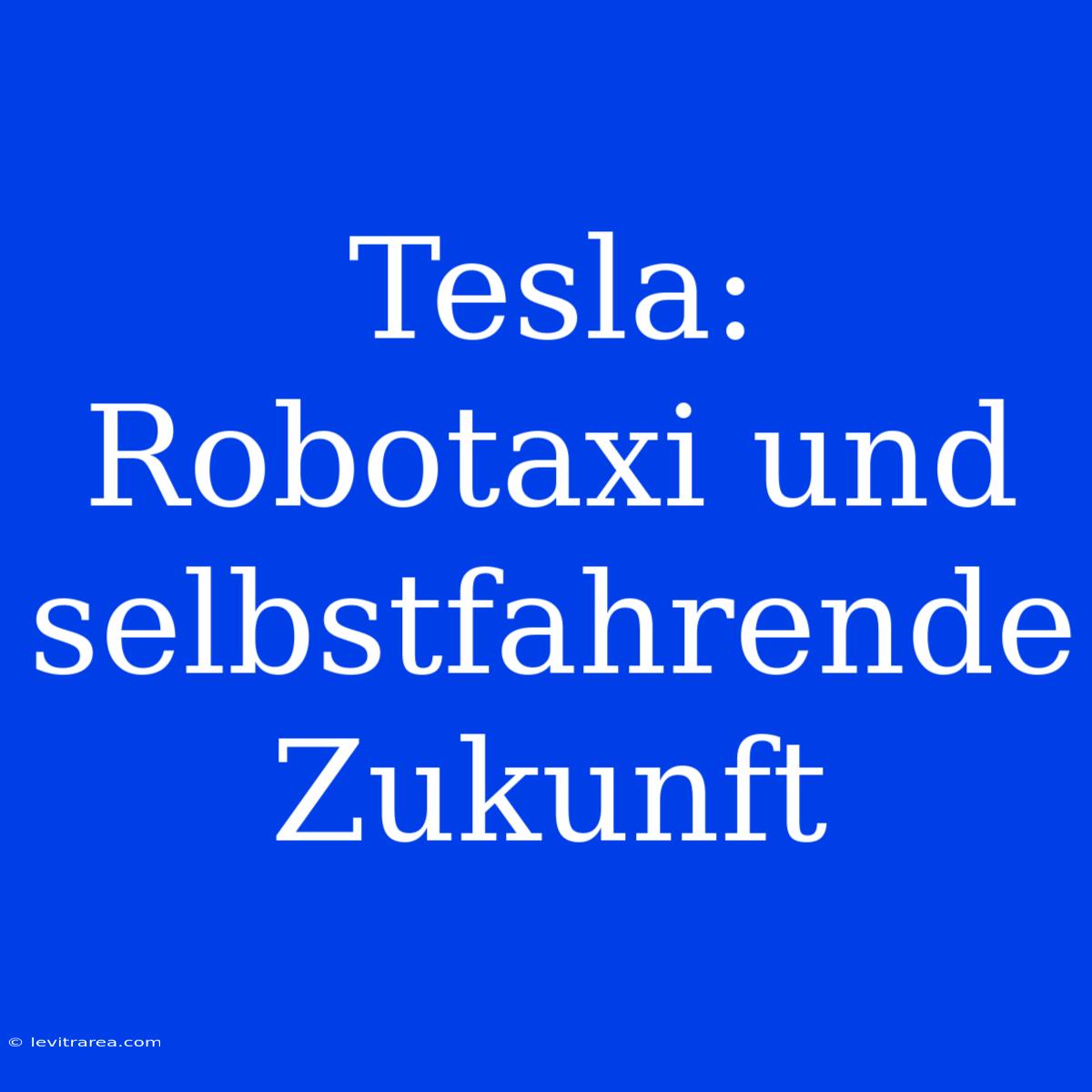 Tesla: Robotaxi Und Selbstfahrende Zukunft