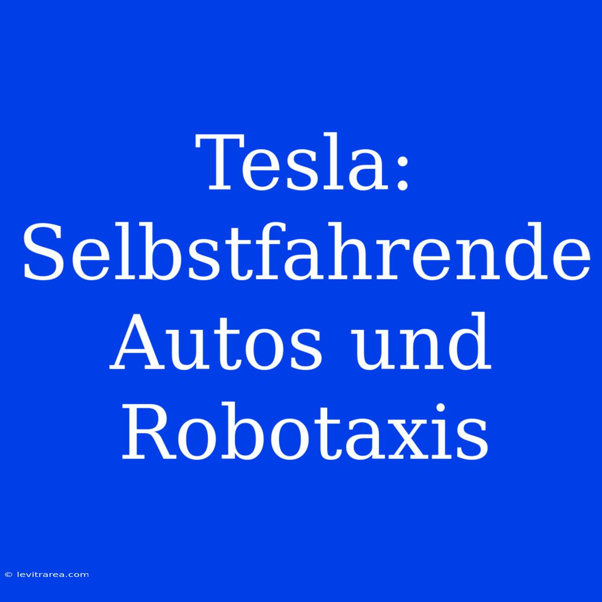 Tesla: Selbstfahrende Autos Und Robotaxis