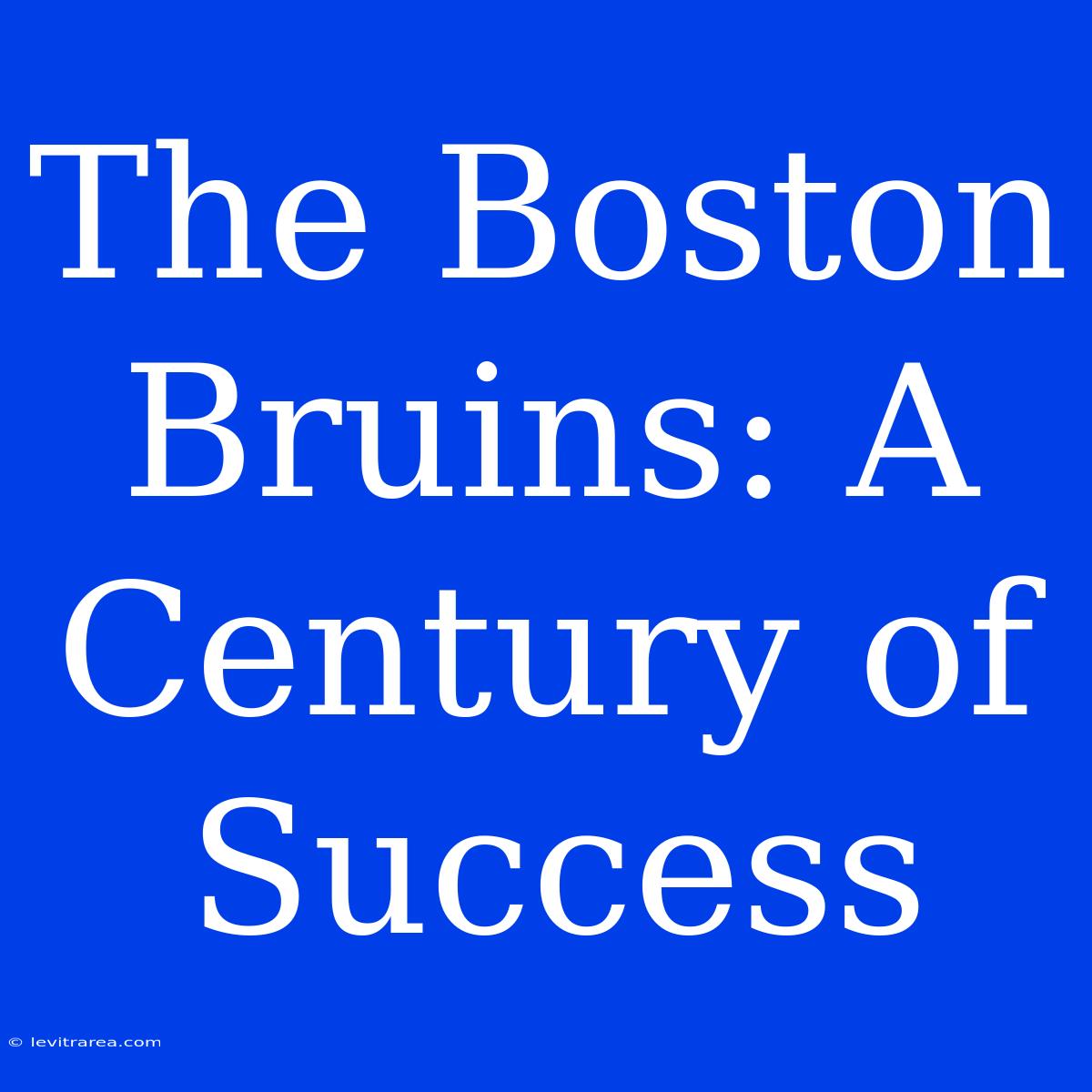 The Boston Bruins: A Century Of Success