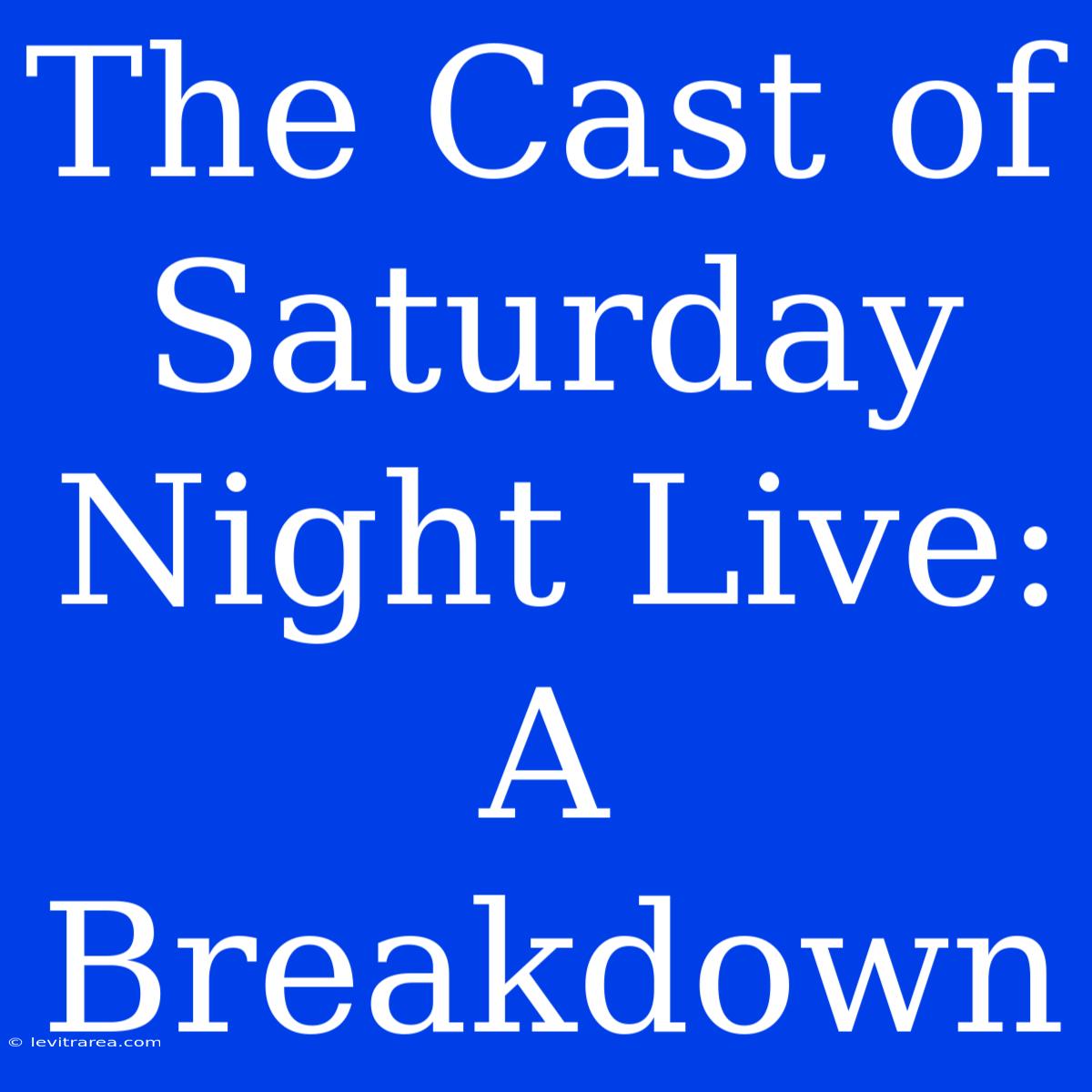 The Cast Of Saturday Night Live: A Breakdown 