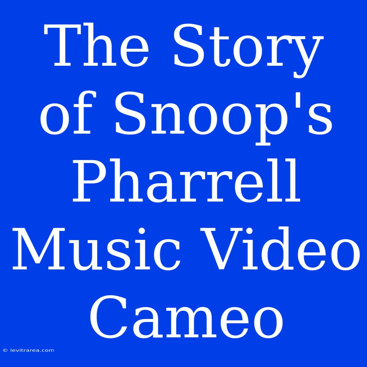 The Story Of Snoop's Pharrell Music Video Cameo