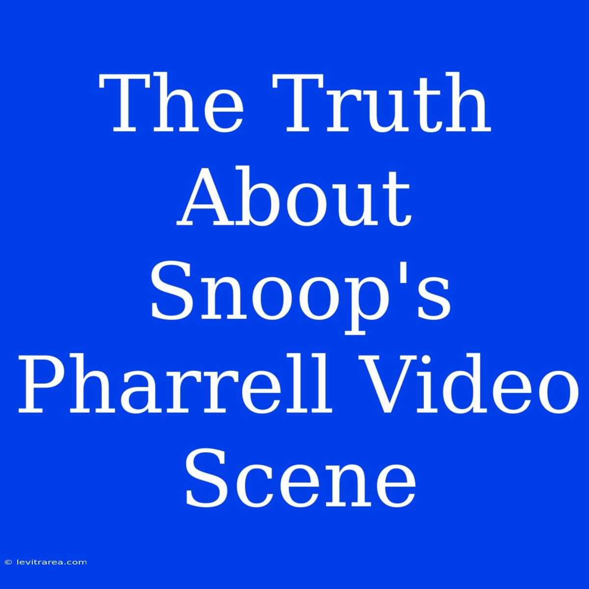 The Truth About Snoop's Pharrell Video Scene