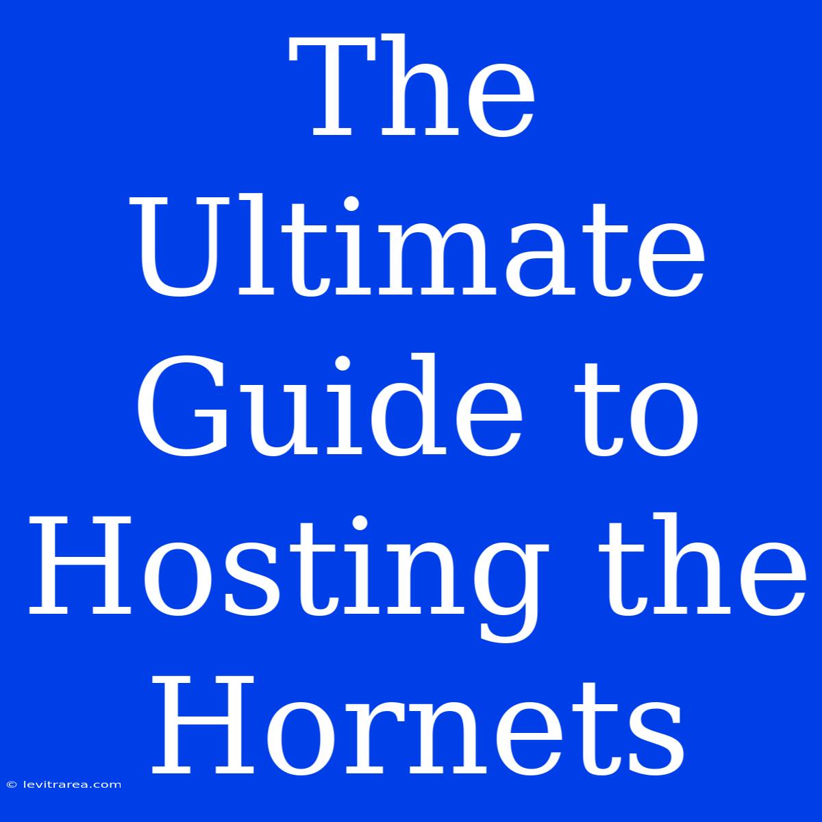 The Ultimate Guide To Hosting The Hornets