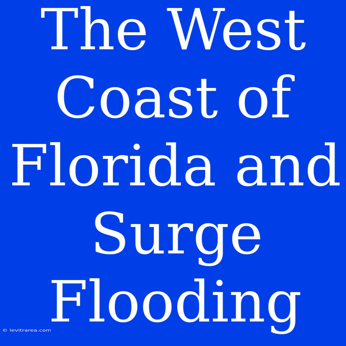 The West Coast Of Florida And Surge Flooding