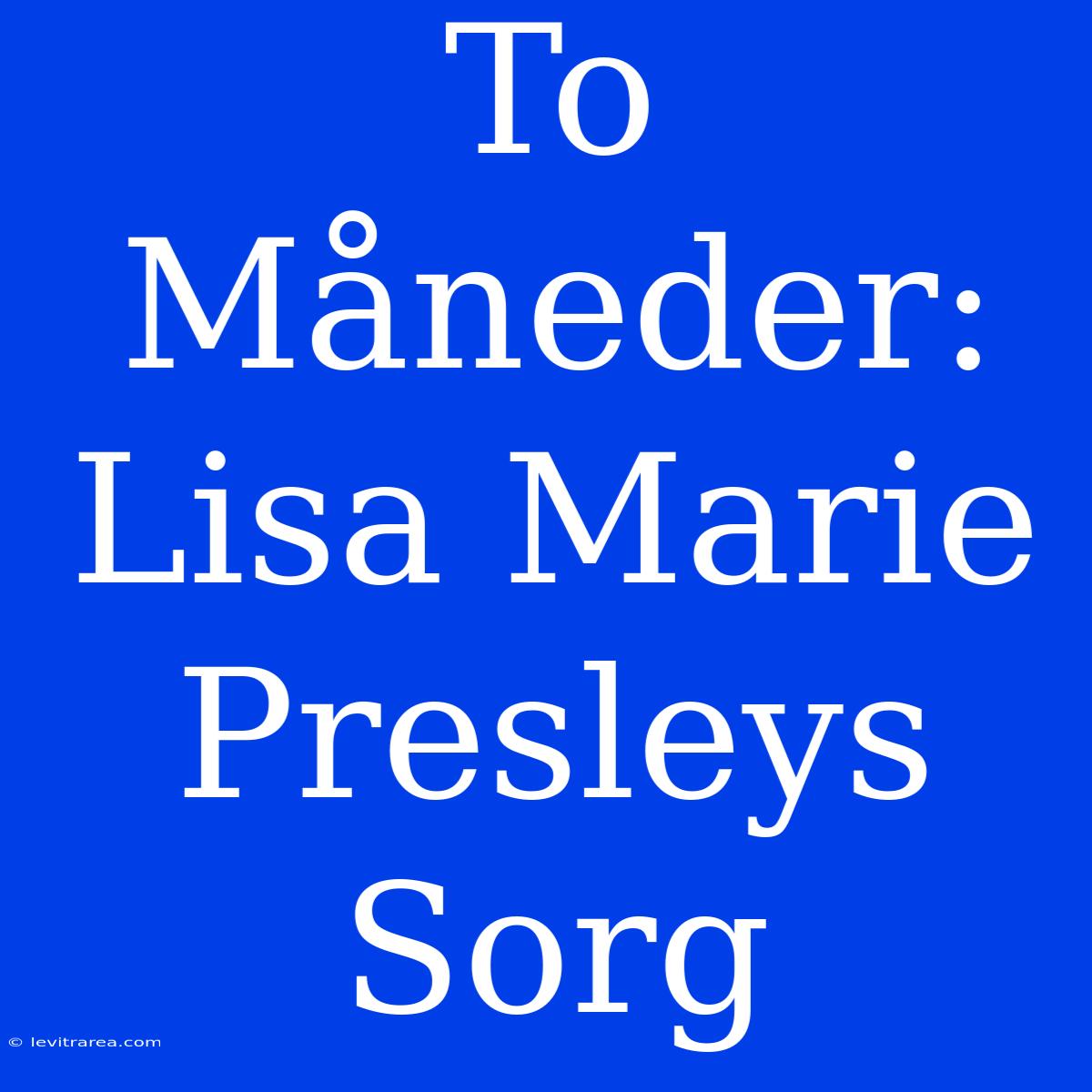 To Måneder: Lisa Marie Presleys Sorg