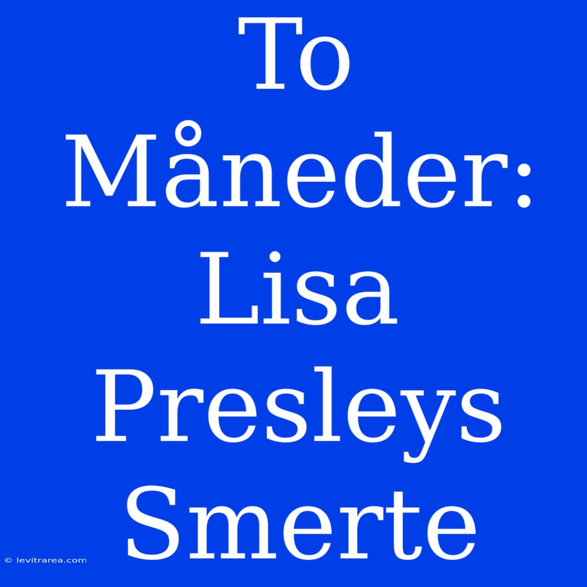 To Måneder: Lisa Presleys Smerte