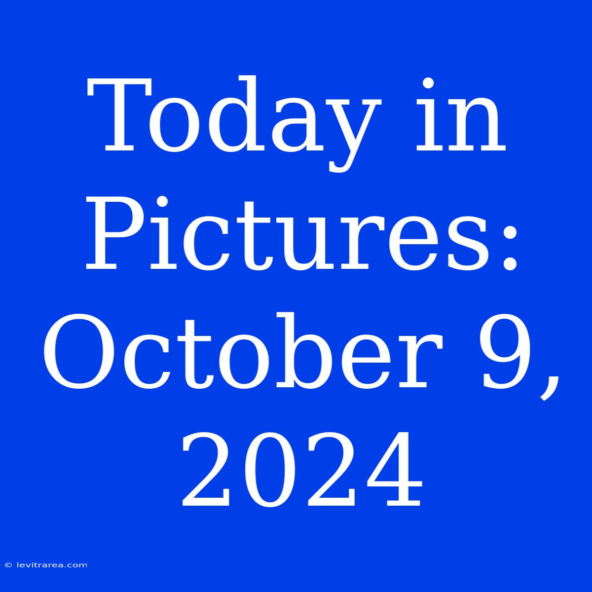 Today In Pictures: October 9, 2024