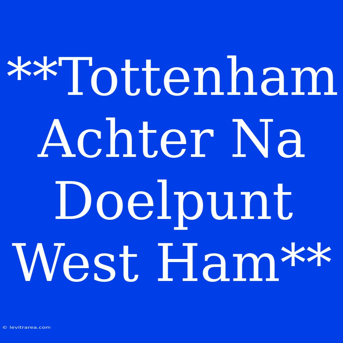 **Tottenham Achter Na Doelpunt West Ham**