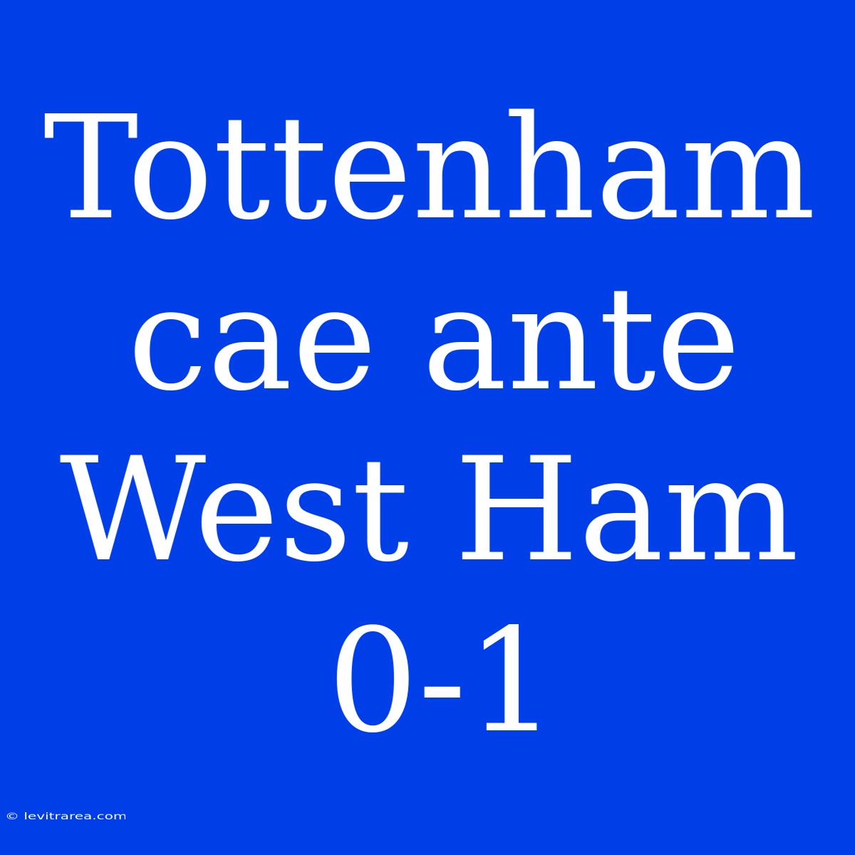 Tottenham Cae Ante West Ham 0-1