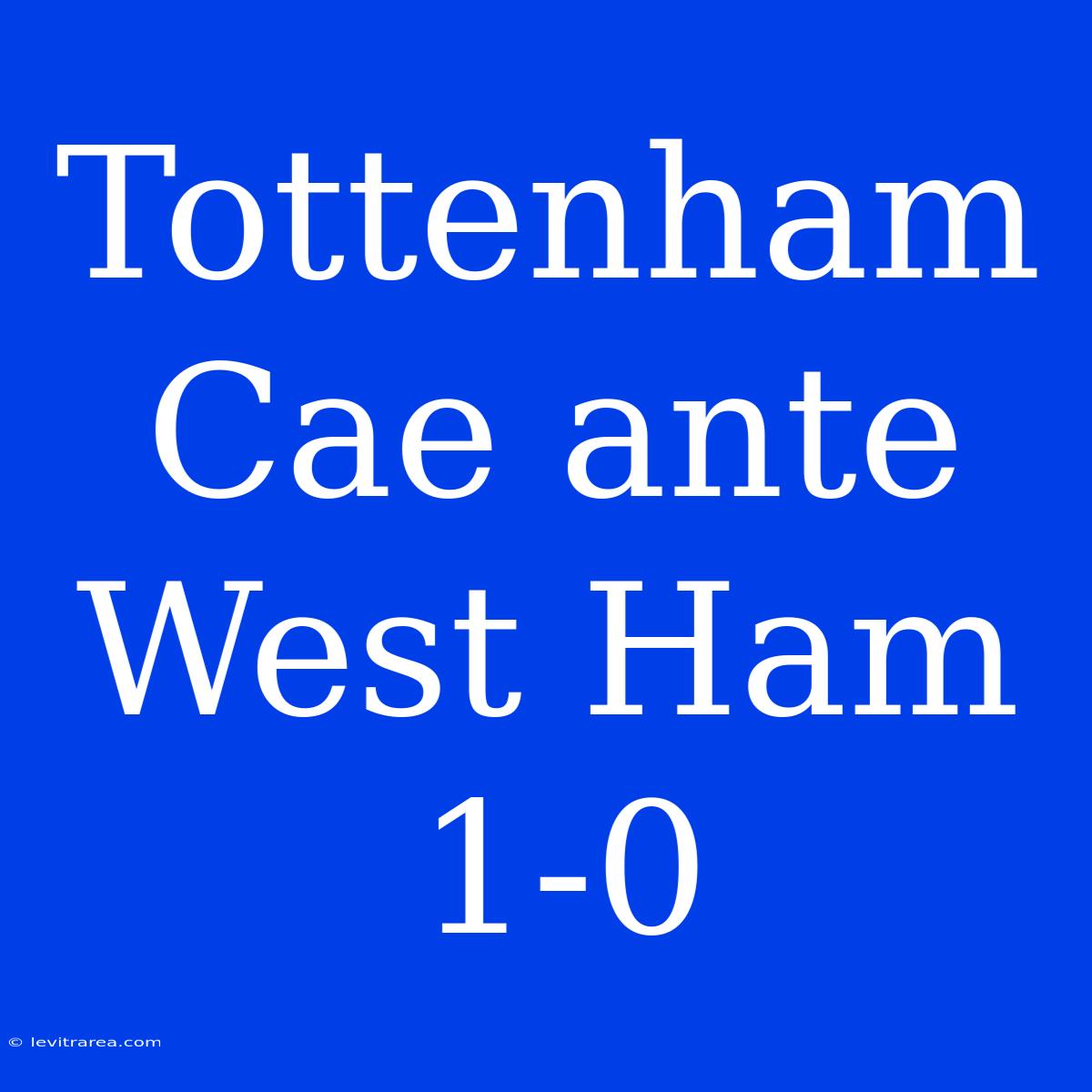 Tottenham Cae Ante West Ham 1-0