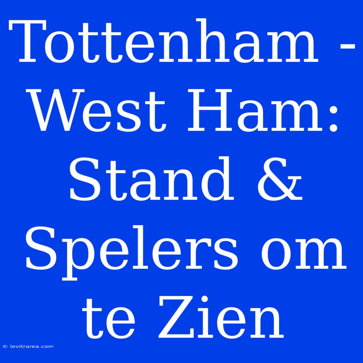 Tottenham - West Ham: Stand & Spelers Om Te Zien