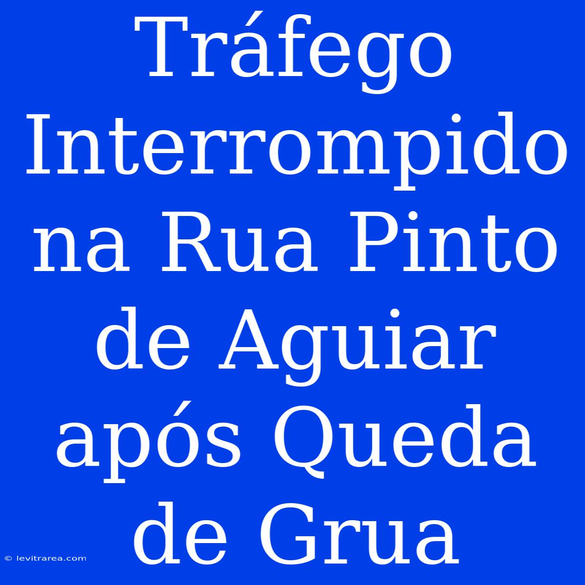 Tráfego Interrompido Na Rua Pinto De Aguiar Após Queda De Grua