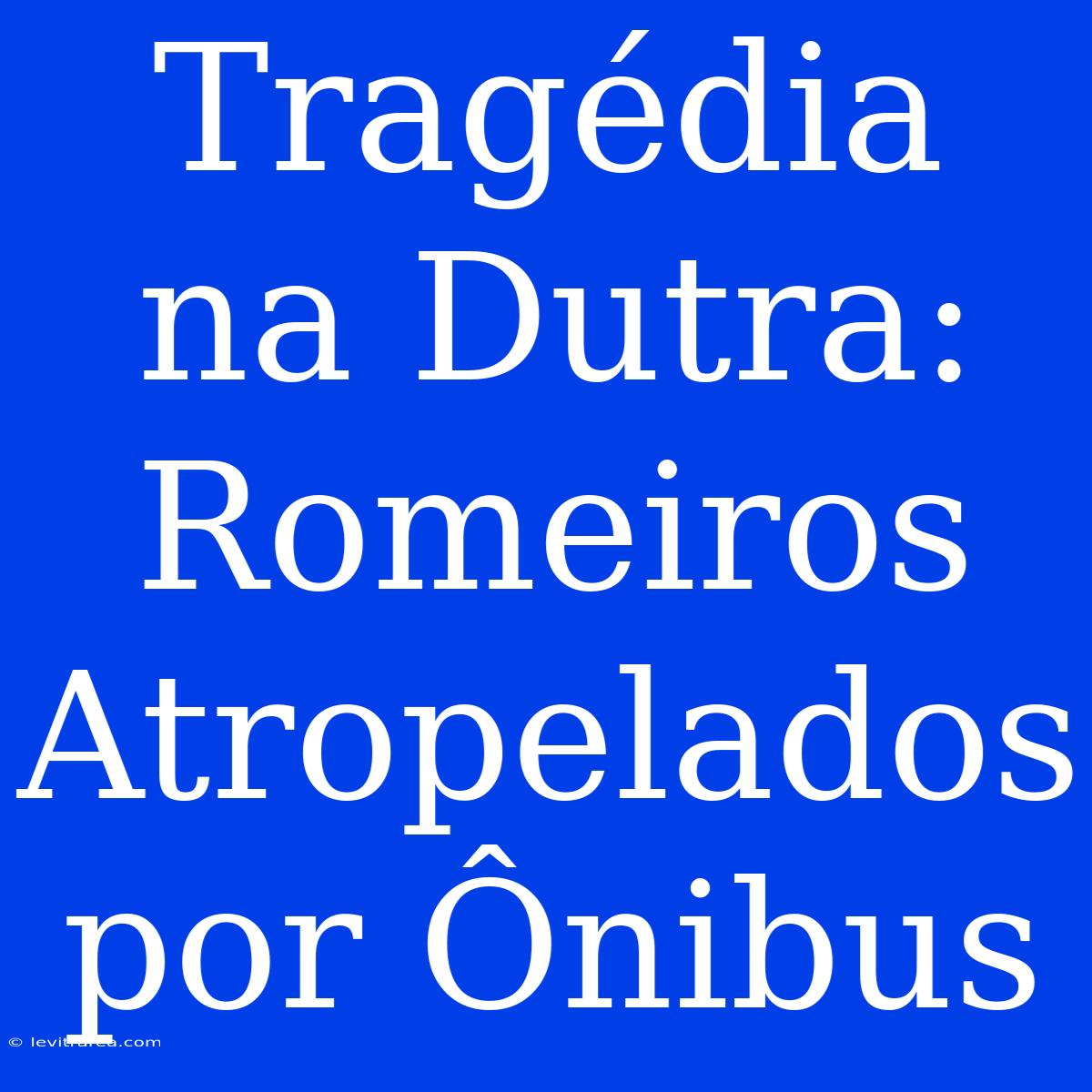 Tragédia Na Dutra: Romeiros Atropelados Por Ônibus