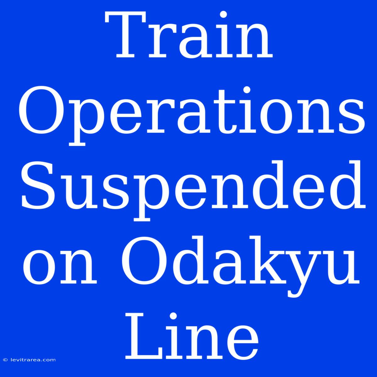 Train Operations Suspended On Odakyu Line