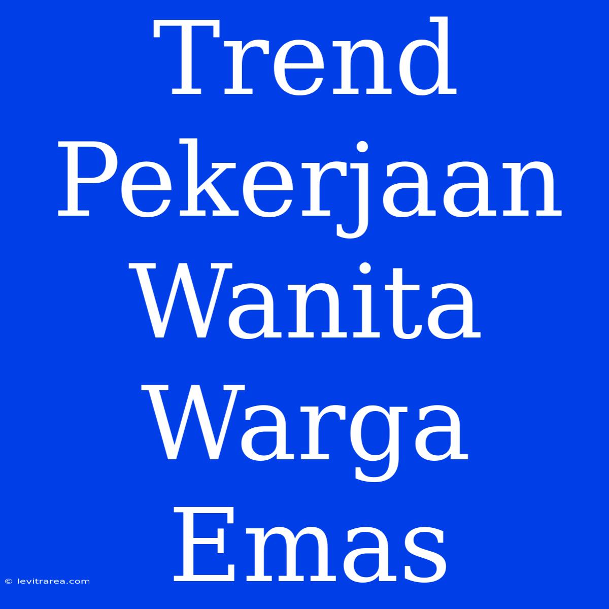 Trend Pekerjaan Wanita Warga Emas