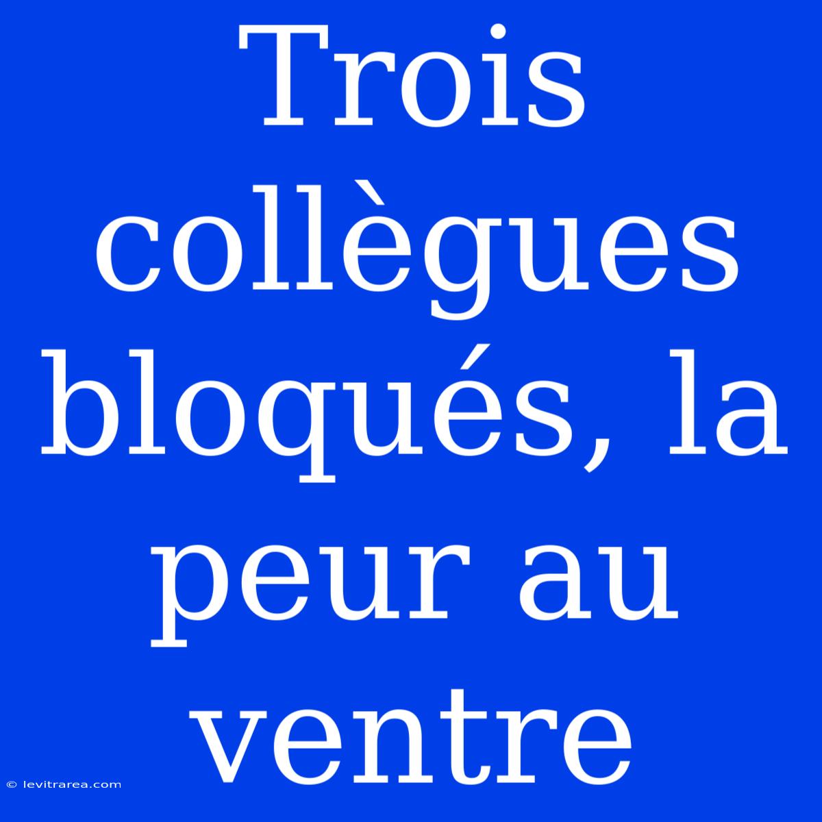 Trois Collègues Bloqués, La Peur Au Ventre