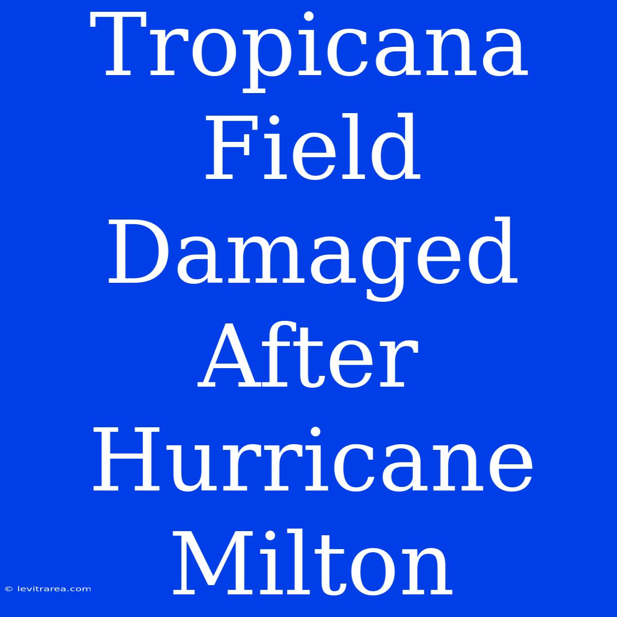 Tropicana Field Damaged After Hurricane Milton