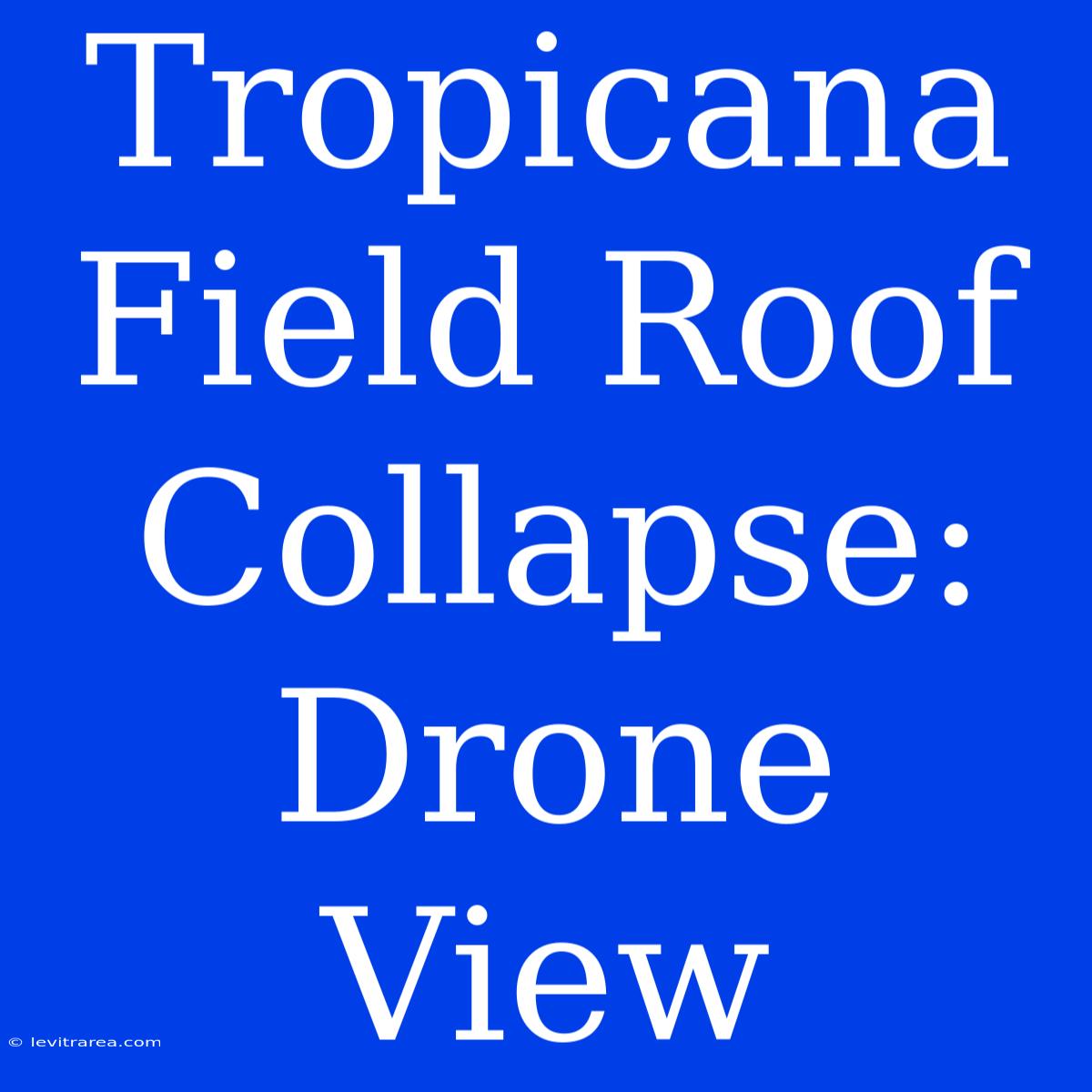 Tropicana Field Roof Collapse: Drone View