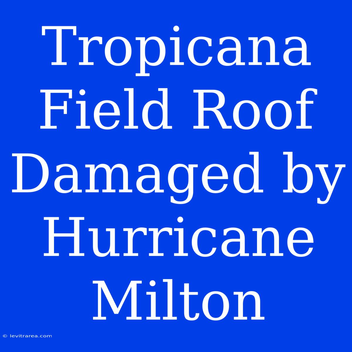 Tropicana Field Roof Damaged By Hurricane Milton