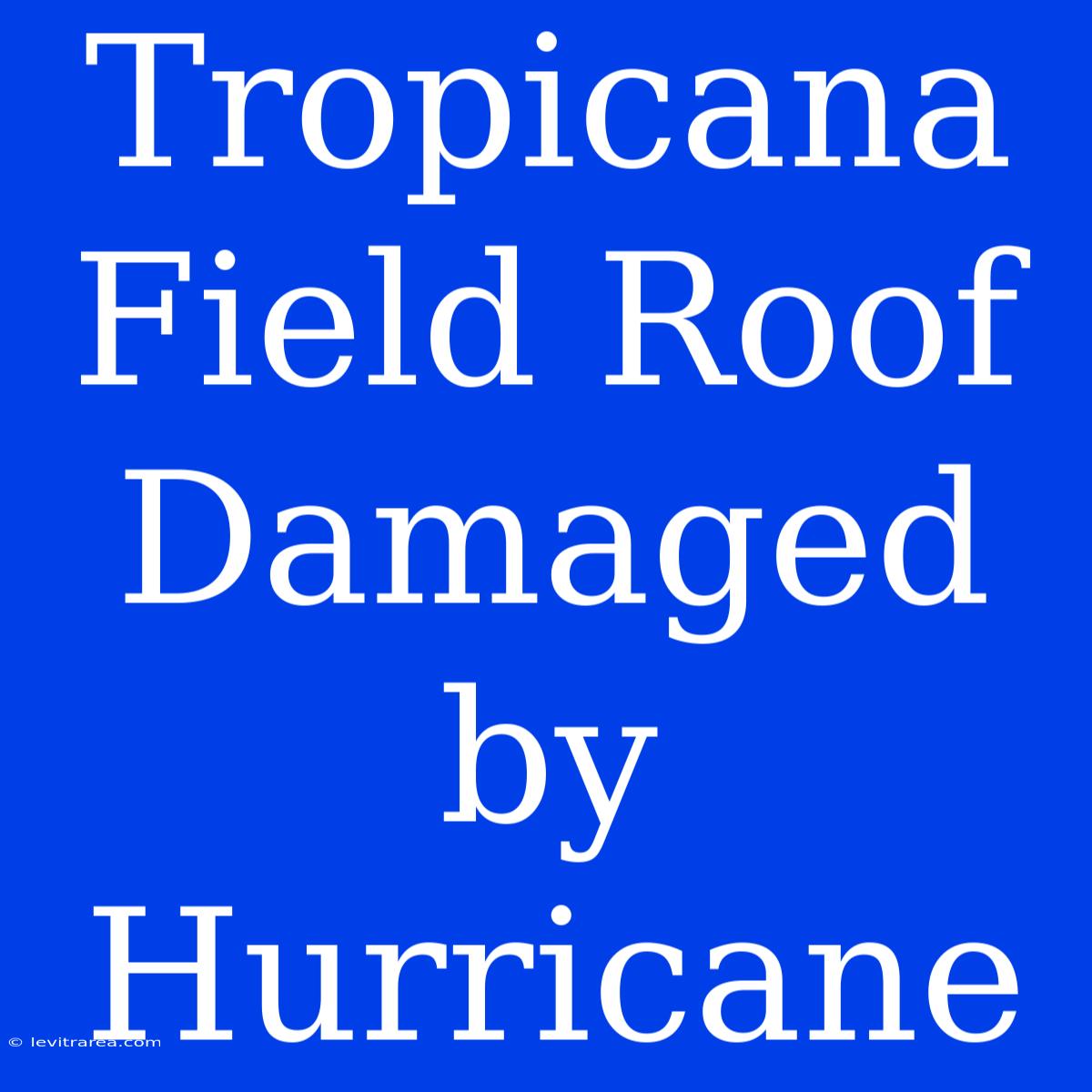 Tropicana Field Roof Damaged By Hurricane