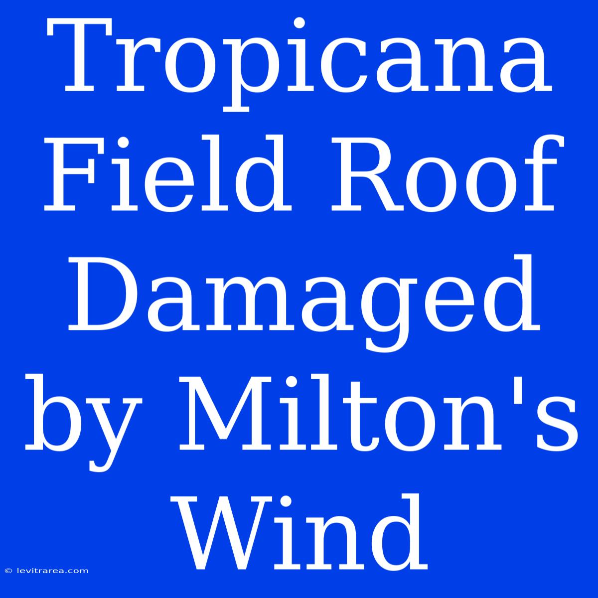 Tropicana Field Roof Damaged By Milton's Wind