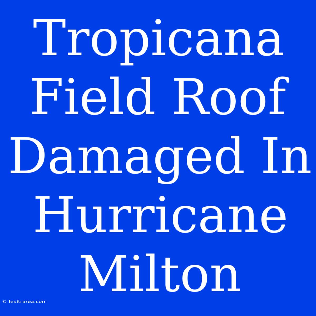 Tropicana Field Roof Damaged In Hurricane Milton