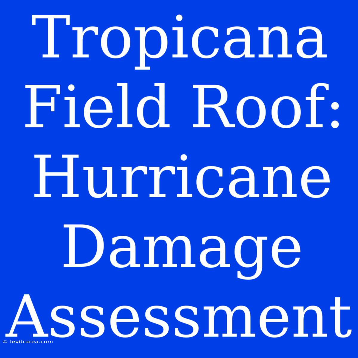 Tropicana Field Roof: Hurricane Damage Assessment