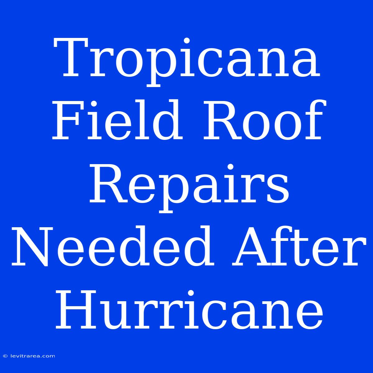 Tropicana Field Roof Repairs Needed After Hurricane