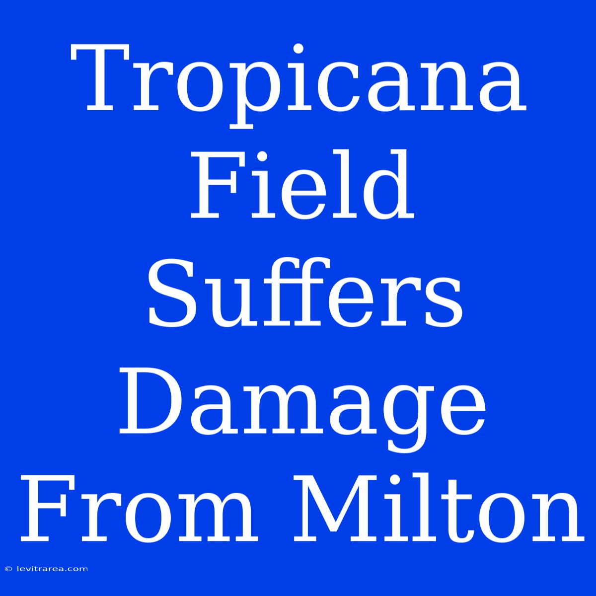 Tropicana Field Suffers Damage From Milton