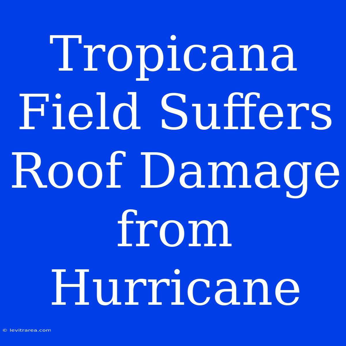 Tropicana Field Suffers Roof Damage From Hurricane