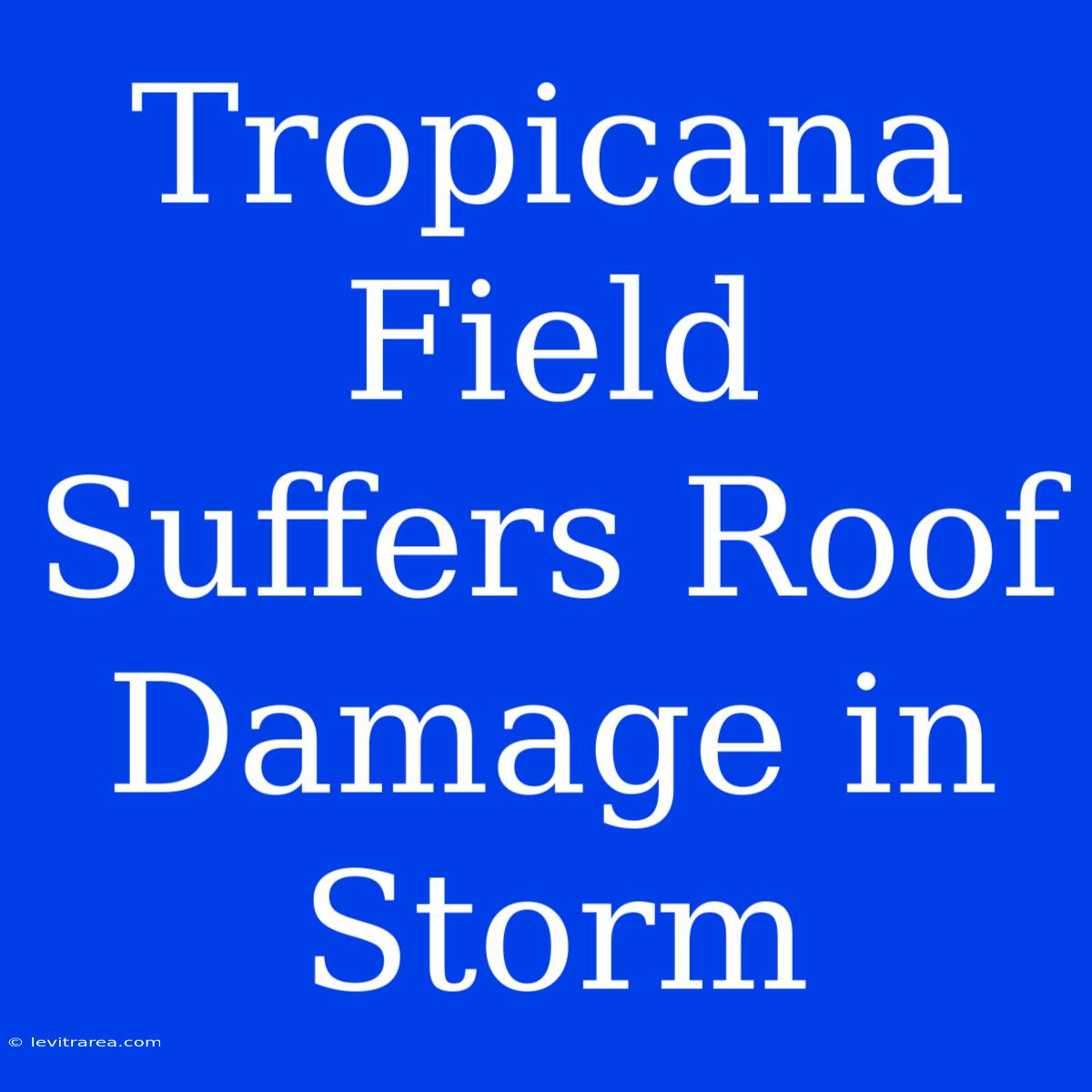 Tropicana Field Suffers Roof Damage In Storm