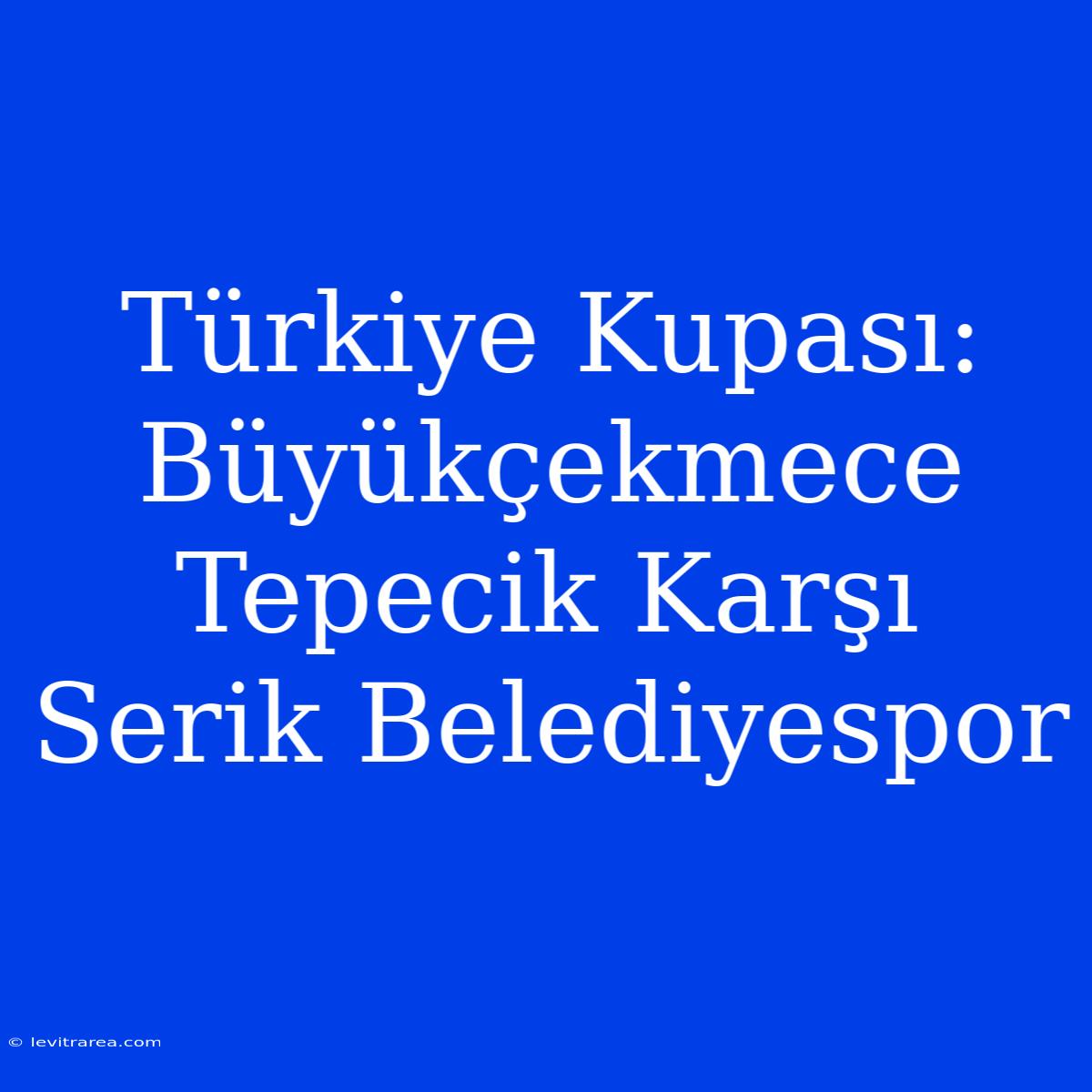 Türkiye Kupası: Büyükçekmece Tepecik Karşı Serik Belediyespor